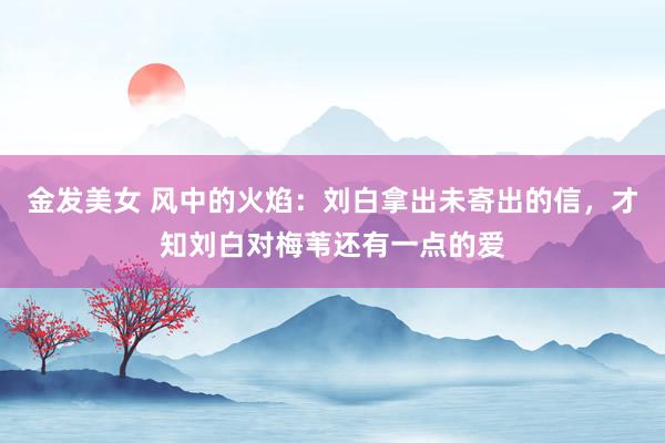 金发美女 风中的火焰：刘白拿出未寄出的信，才知刘白对梅苇还有一点的爱