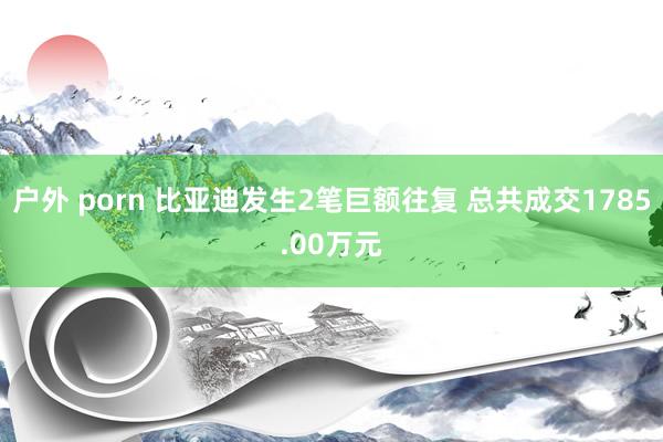 户外 porn 比亚迪发生2笔巨额往复 总共成交1785.00万元
