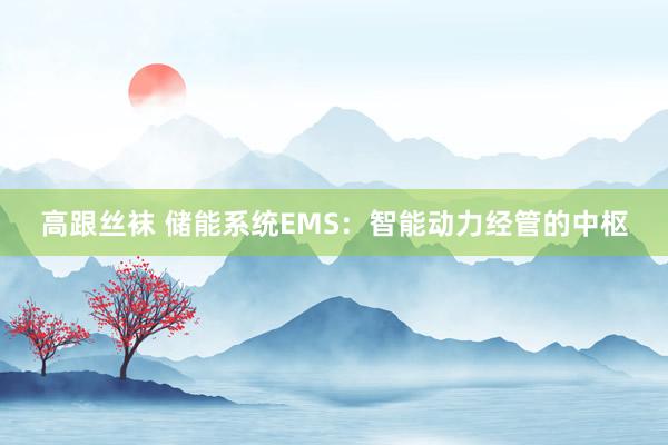 高跟丝袜 储能系统EMS：智能动力经管的中枢