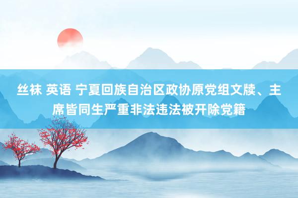 丝袜 英语 宁夏回族自治区政协原党组文牍、主席皆同生严重非法违法被开除党籍