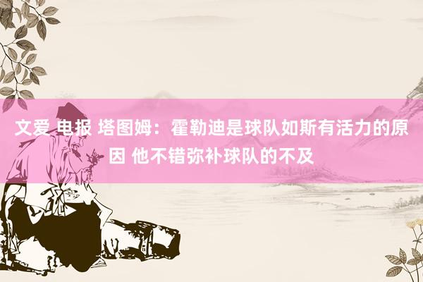 文爱 电报 塔图姆：霍勒迪是球队如斯有活力的原因 他不错弥补球队的不及