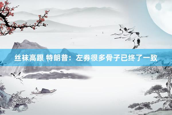 丝袜高跟 特朗普：左券很多骨子已终了一致