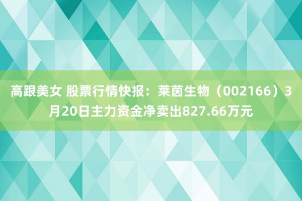 高跟美女 股票行情快报：莱茵生物（002166）3月20日主力资金净卖出827.66万元