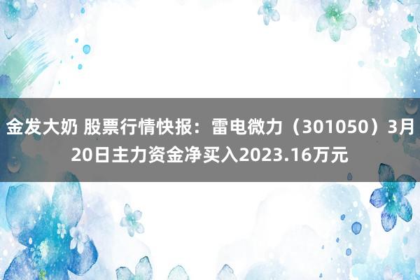 金发大奶 股票行情快报：雷电微力（301050）3月20日主力资金净买入2023.16万元