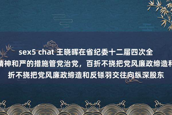 sex5 chat 王晓晖在省纪委十二届四次全会上强调：宝石用转换精神和严的措施管党治党，百折不挠把党风廉政缔造和反铩羽交往向纵深股东