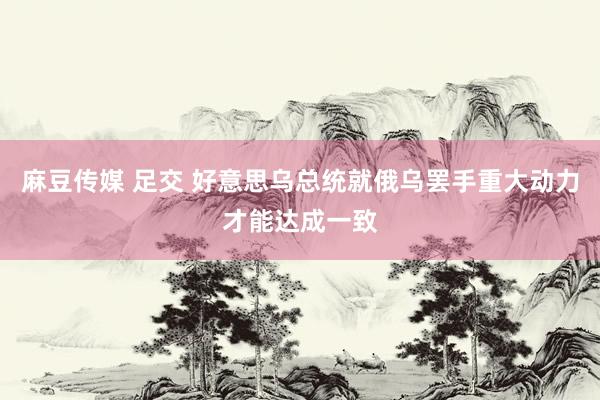 麻豆传媒 足交 好意思乌总统就俄乌罢手重大动力才能达成一致