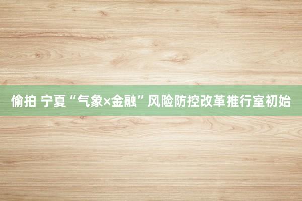偷拍 宁夏“气象×金融”风险防控改革推行室初始