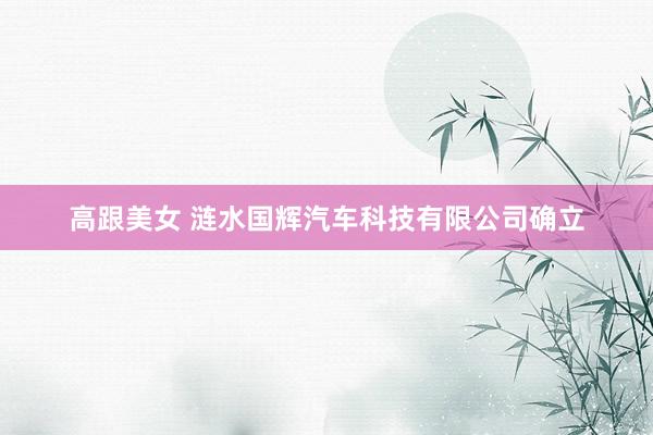 高跟美女 涟水国辉汽车科技有限公司确立