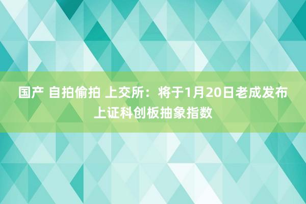 国产 自拍偷拍 上交所:将于1月20日老成发布上证科创板抽象指数