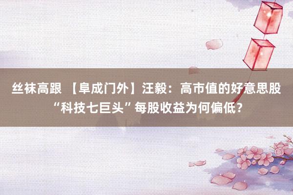 丝袜高跟 【阜成门外】汪毅：高市值的好意思股“科技七巨头”每股收益为何偏低？