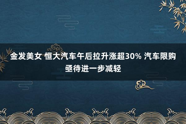 金发美女 恒大汽车午后拉升涨超30% 汽车限购亟待进一步减轻