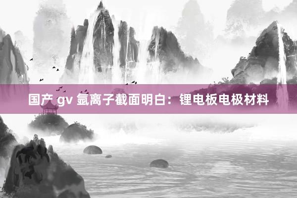 国产 gv 氩离子截面明白：锂电板电极材料