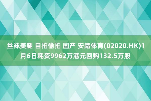 丝袜美腿 自拍偷拍 国产 安踏体育(02020.HK)1月6日耗资9962万港元回购132.5万股