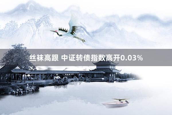 丝袜高跟 中证转债指数高开0.03%