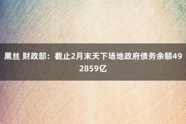 黑丝 财政部：截止2月末天下场地政府债务余额492859亿