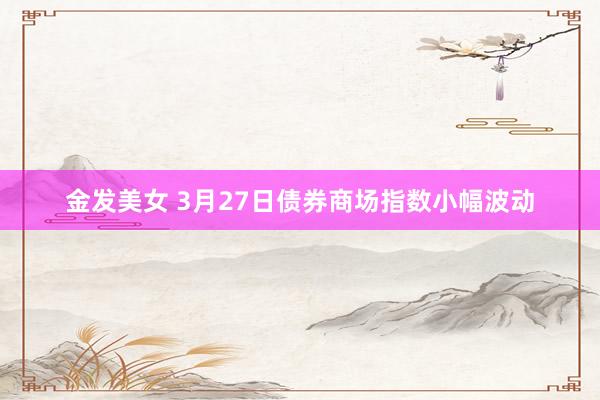 金发美女 3月27日债券商场指数小幅波动