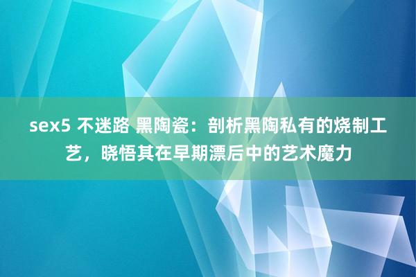 sex5 不迷路 黑陶瓷：剖析黑陶私有的烧制工艺，晓悟其在早期漂后中的艺术魔力