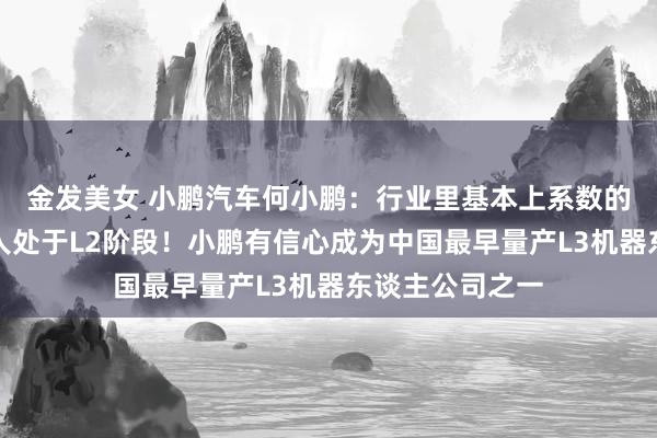 金发美女 小鹏汽车何小鹏：行业里基本上系数的机器东谈主王人处于L2阶段！小鹏有信心成为中国最早量产L3机器东谈主公司之一