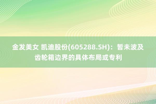 金发美女 凯迪股份(605288.SH)：暂未波及齿轮箱边界的具体布局或专利