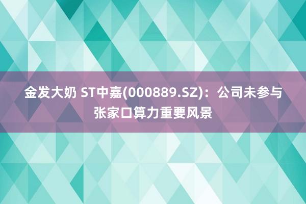 金发大奶 ST中嘉(000889.SZ)：公司未参与张家口算力重要风景