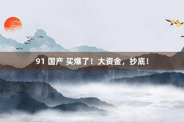 91 国产 买爆了！大资金，抄底！