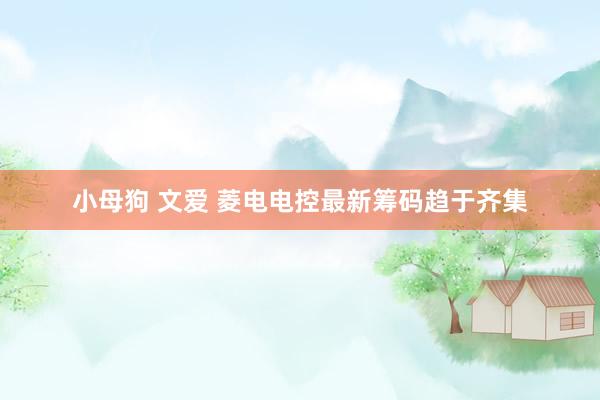 小母狗 文爱 菱电电控最新筹码趋于齐集