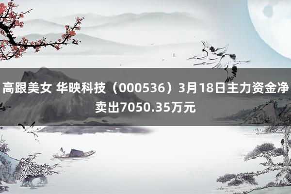 高跟美女 华映科技（000536）3月18日主力资金净卖出7050.35万元