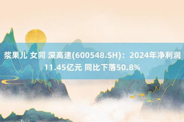 浆果儿 女同 深高速(600548.SH)：2024年净利润11.45亿元 同比下落50.8%