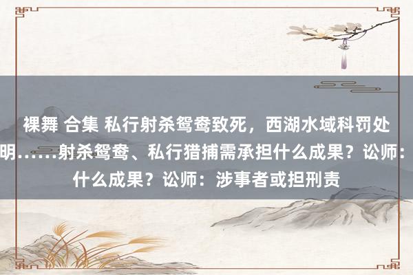 裸舞 合集 私行射杀鸳鸯致死，西湖水域科罚处发布最新情况讲明……射杀鸳鸯、私行猎捕需承担什么成果？讼师：涉事者或担刑责