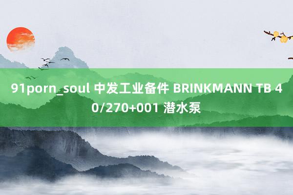91porn_soul 中发工业备件 BRINKMANN TB 40/270+001 潜水泵