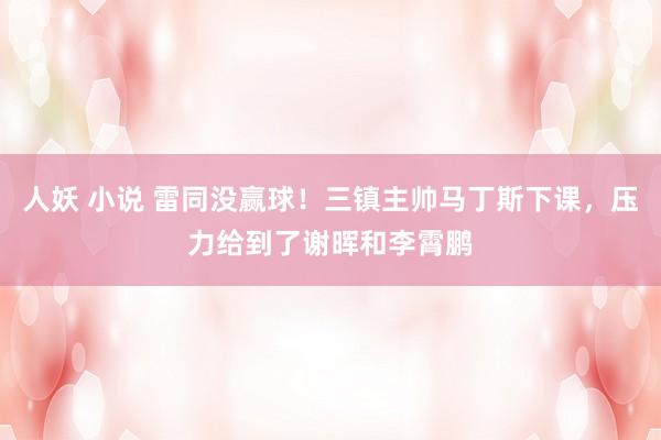 人妖 小说 雷同没赢球！三镇主帅马丁斯下课，压力给到了谢晖和李霄鹏