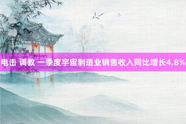 电击 调教 一季度宇宙制造业销售收入同比增长4.8%