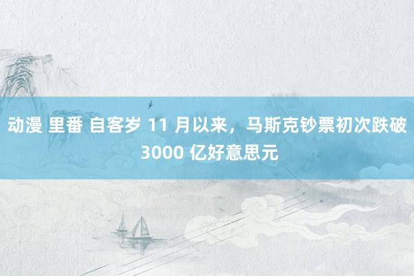 动漫 里番 自客岁 11 月以来，马斯克钞票初次跌破 3000 亿好意思元