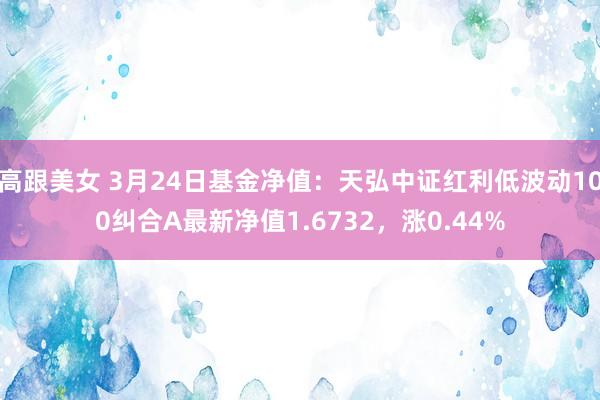 高跟美女 3月24日基金净值：天弘中证红利低波动100纠合A最新净值1.6732，涨0.44%