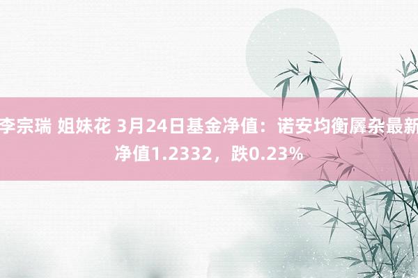 李宗瑞 姐妹花 3月24日基金净值：诺安均衡羼杂最新净值1.2332，跌0.23%