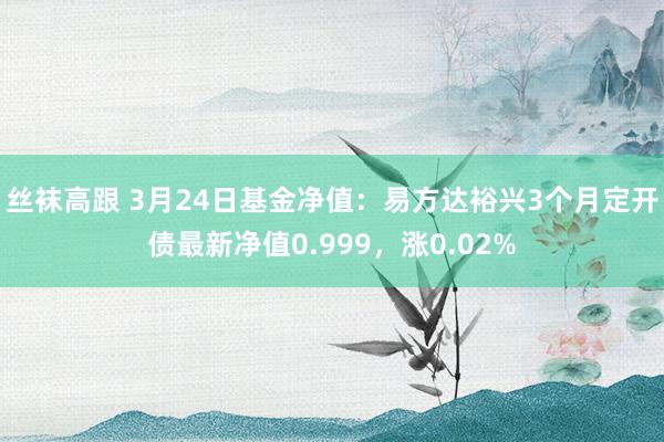 丝袜高跟 3月24日基金净值：易方达裕兴3个月定开债最新净值0.999，涨0.02%