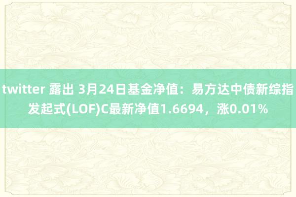 twitter 露出 3月24日基金净值：易方达中债新综指发起式(LOF)C最新净值1.6694，涨0.01%