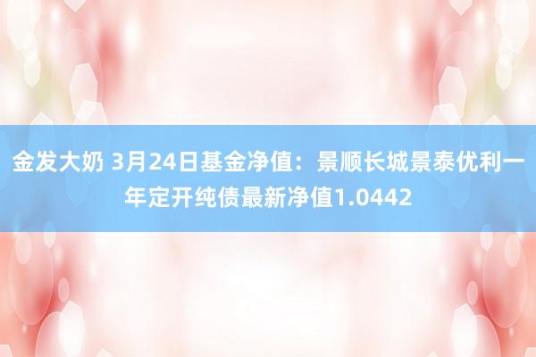 金发大奶 3月24日基金净值：景顺长城景泰优利一年定开纯债最新净值1.0442