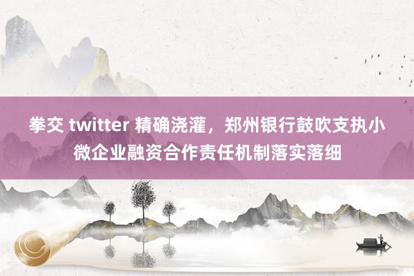 拳交 twitter 精确浇灌，郑州银行鼓吹支执小微企业融资合作责任机制落实落细