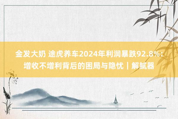 金发大奶 途虎养车2024年利润暴跌92.8%：增收不增利背后的困局与隐忧｜解腻器