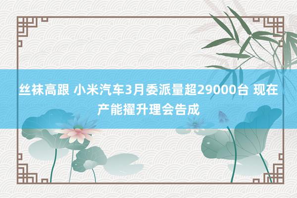 丝袜高跟 小米汽车3月委派量超29000台 现在产能擢升理会告成