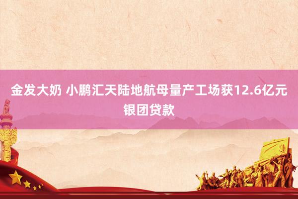 金发大奶 小鹏汇天陆地航母量产工场获12.6亿元银团贷款