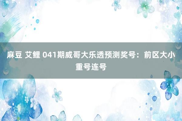 麻豆 艾鲤 041期威哥大乐透预测奖号：前区大小重号连号