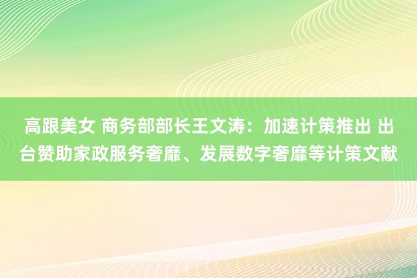 高跟美女 商务部部长王文涛：加速计策推出 出台赞助家政服务奢靡、发展数字奢靡等计策文献