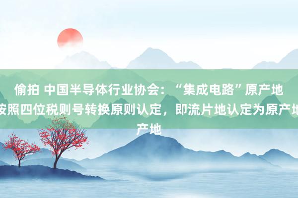 偷拍 中国半导体行业协会：“集成电路”原产地按照四位税则号转换原则认定，即流片地认定为原产地