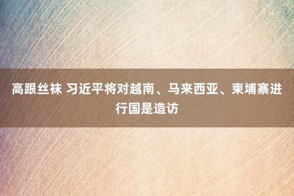 高跟丝袜 习近平将对越南、马来西亚、柬埔寨进行国是造访