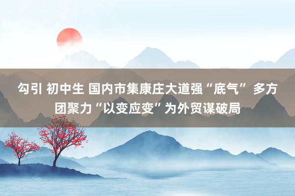勾引 初中生 国内市集康庄大道强“底气” 多方团聚力“以变应变”为外贸谋破局