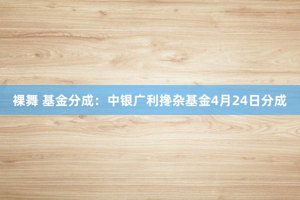 裸舞 基金分成：中银广利搀杂基金4月24日分成