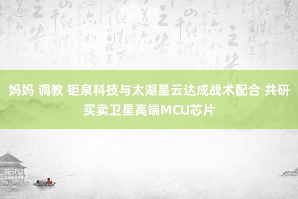 妈妈 调教 钜泉科技与太湖星云达成战术配合 共研买卖卫星高端MCU芯片