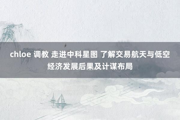 chloe 调教 走进中科星图 了解交易航天与低空经济发展后果及计谋布局